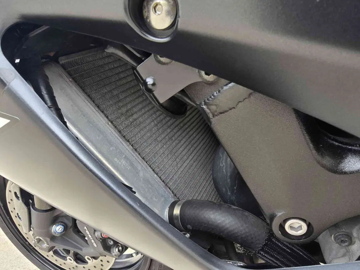 Suzuki GSX-R1000 (2006 - 08) (18)