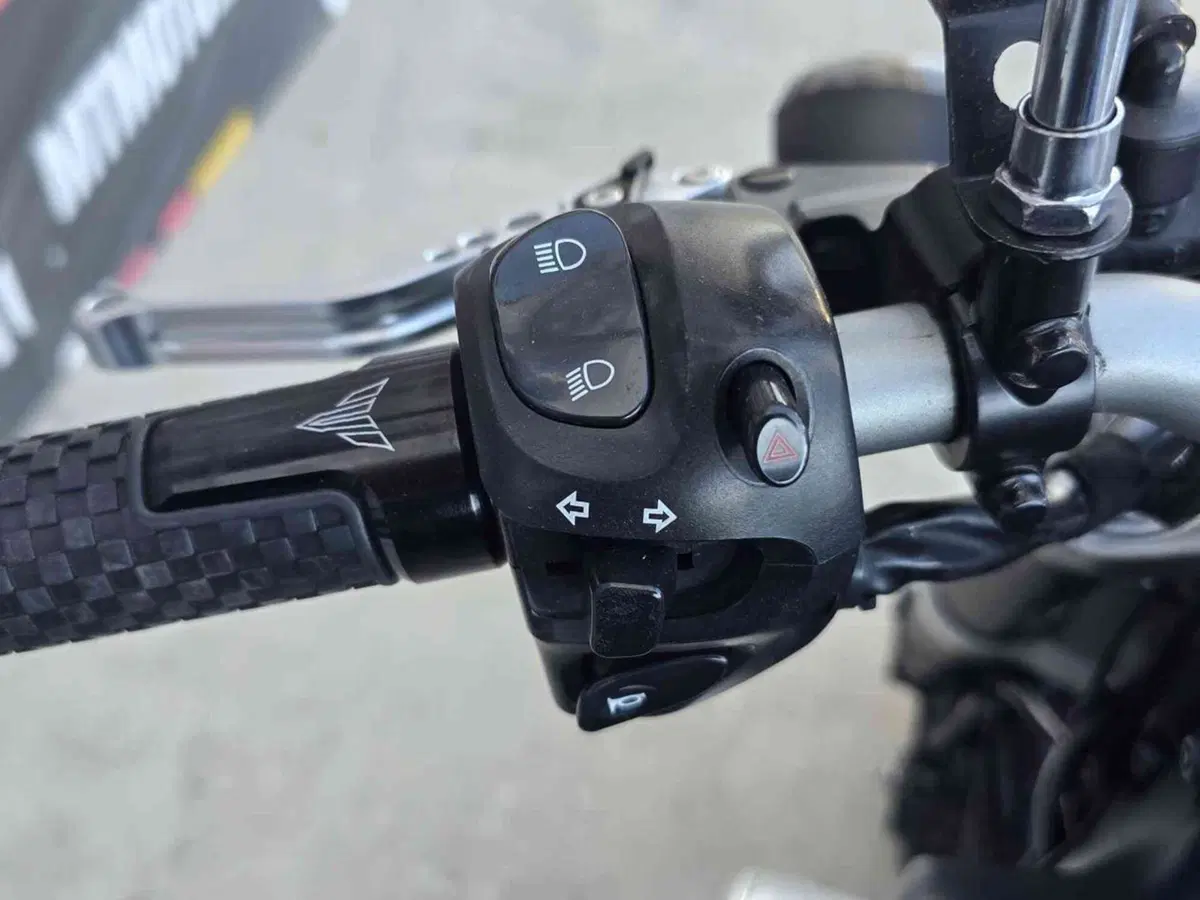 Yamaha MT-01 (2005- 11) (13)