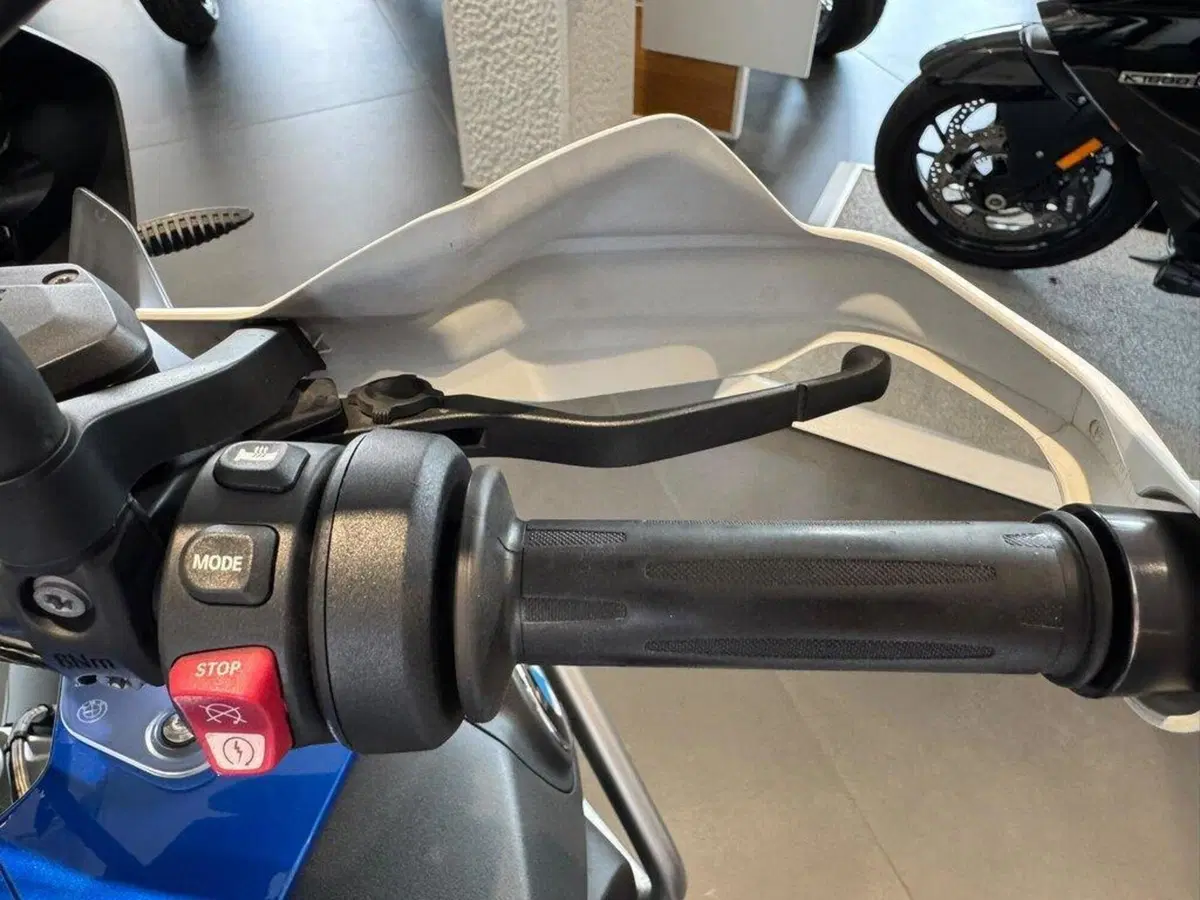 Bmw R 1250 GS Adventure (2019 - 20) (4)
