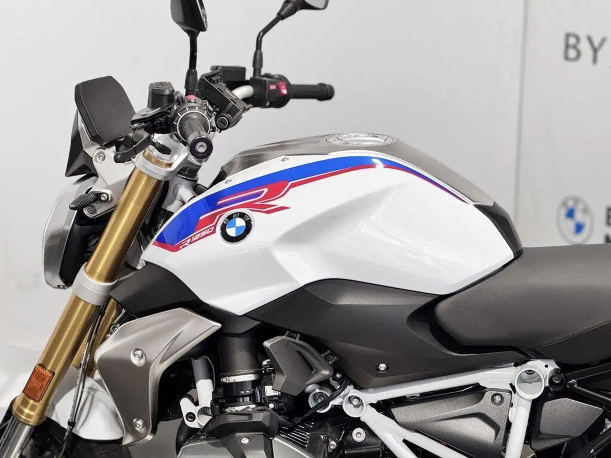Bmw R 1250 R (2021 - 25) (4)