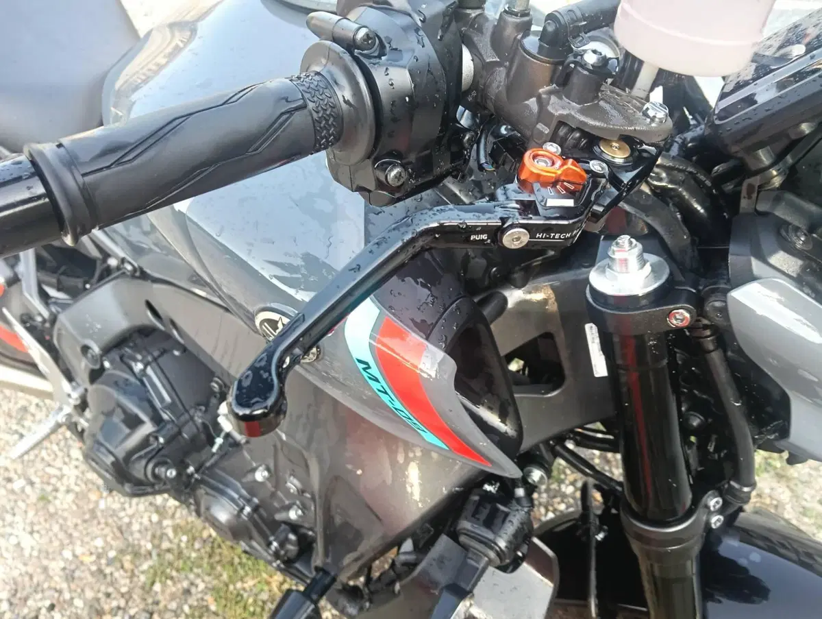Yamaha MT-09 (2021 - 23) (4)