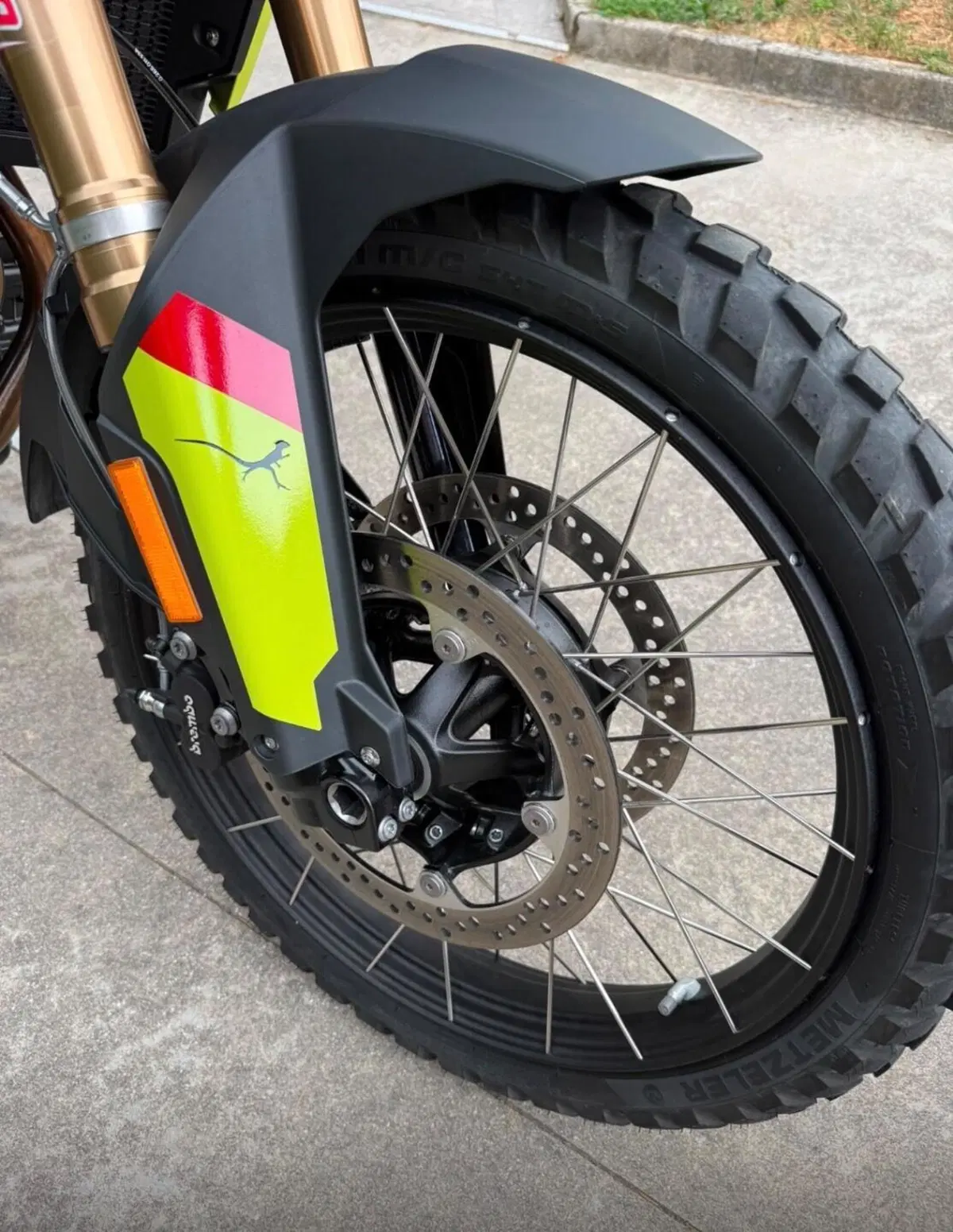 Bmw F 900 GS (2024 - 26) (2)