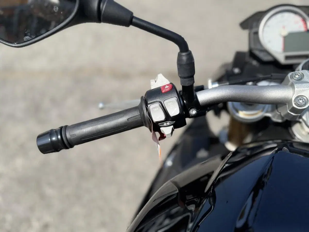 Bmw S 1000 R (2017 - 20) (6)