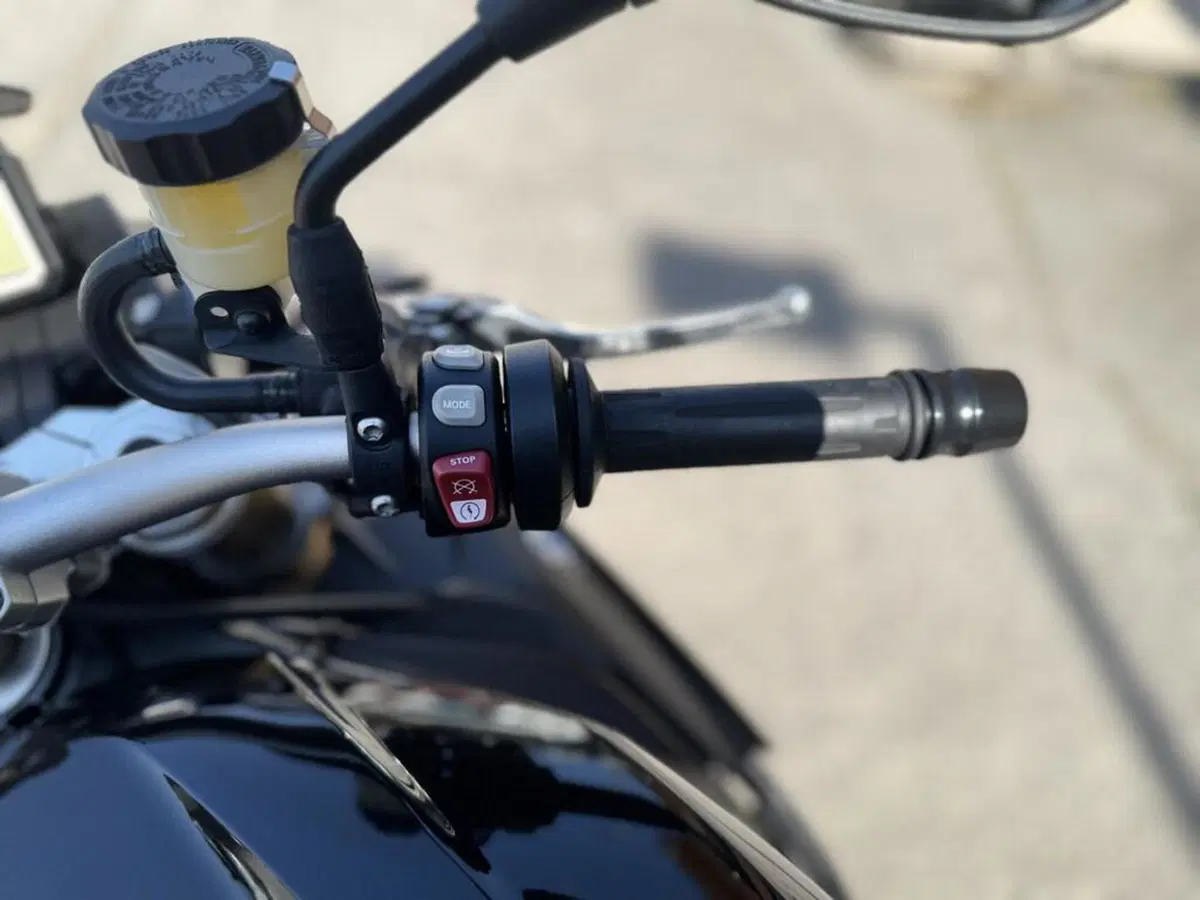 Bmw S 1000 R (2017 - 20) (7)