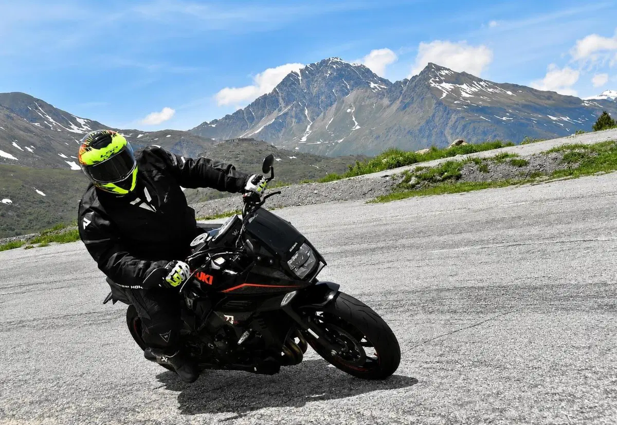 Suzuki Katana 1000 Jindachi (2019 - 20) (9)