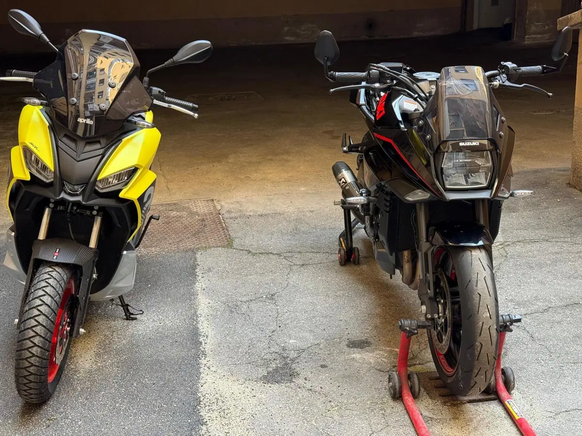 Suzuki Katana 1000 Jindachi (2019 - 20) (10)