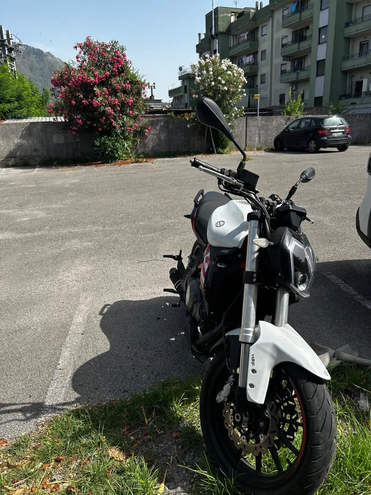 Benelli BN 302 S (2019 - 20) (2)