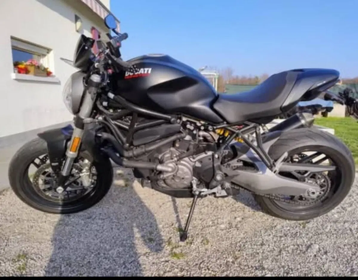 Ducati Monster 821 (2018 - 20) (2)