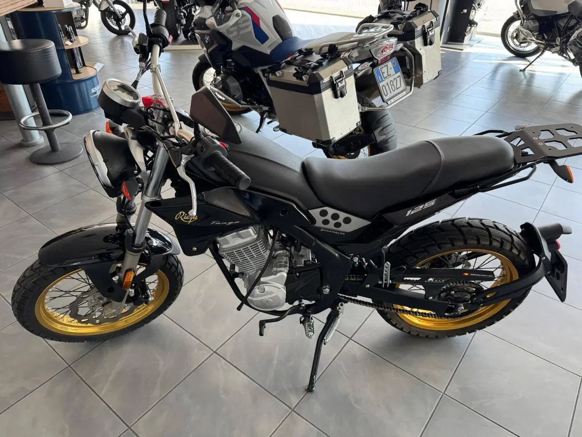 Rieju Tango 125I Scrambler (2021 - 25) (2)
