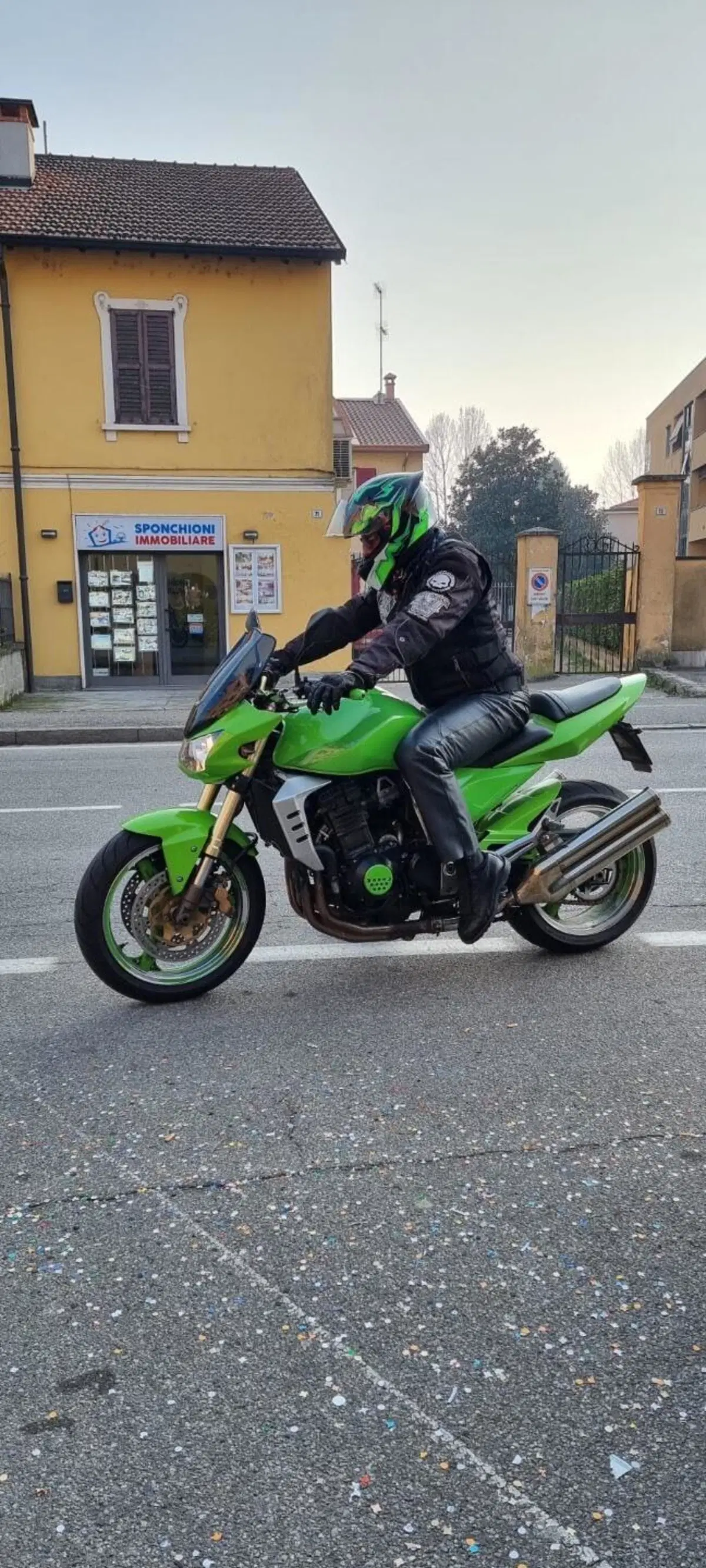 Kawasaki Z 1000 (2003 - 06) (3)