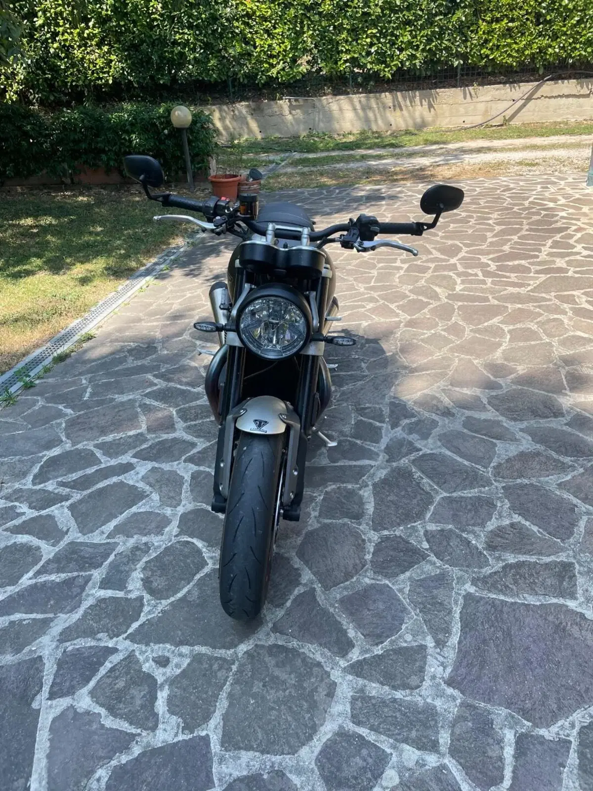 Triumph Speed Twin 1200 (2021 - 24)