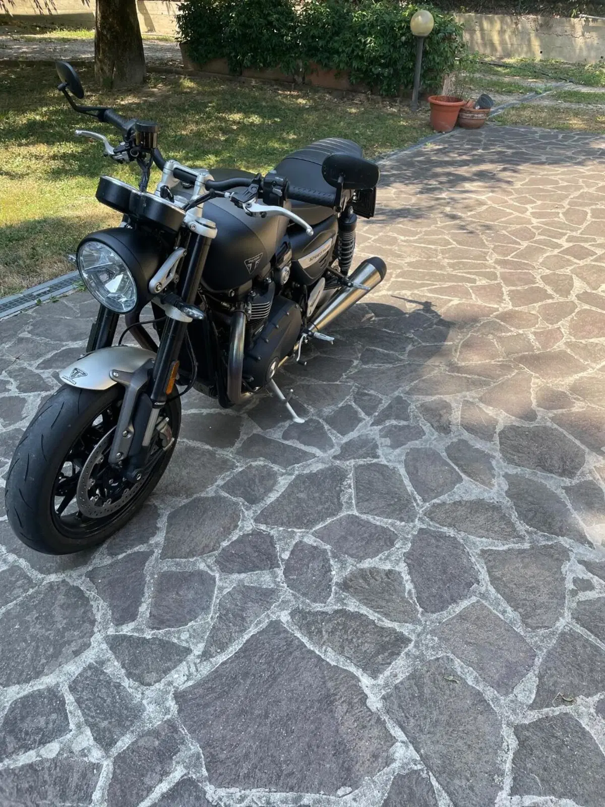 Triumph Speed Twin 1200 (2021 - 24) (3)