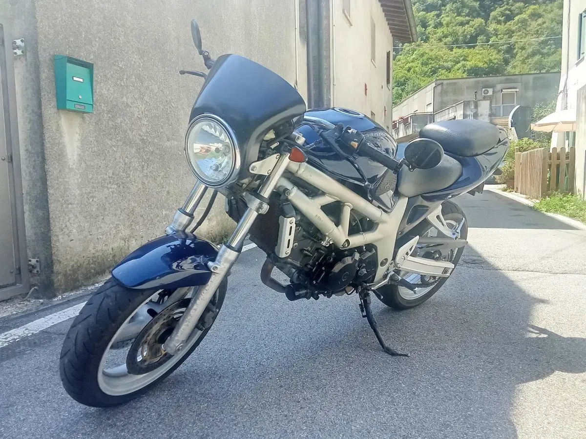 Suzuki SV 650 (1999 - 02) (3)