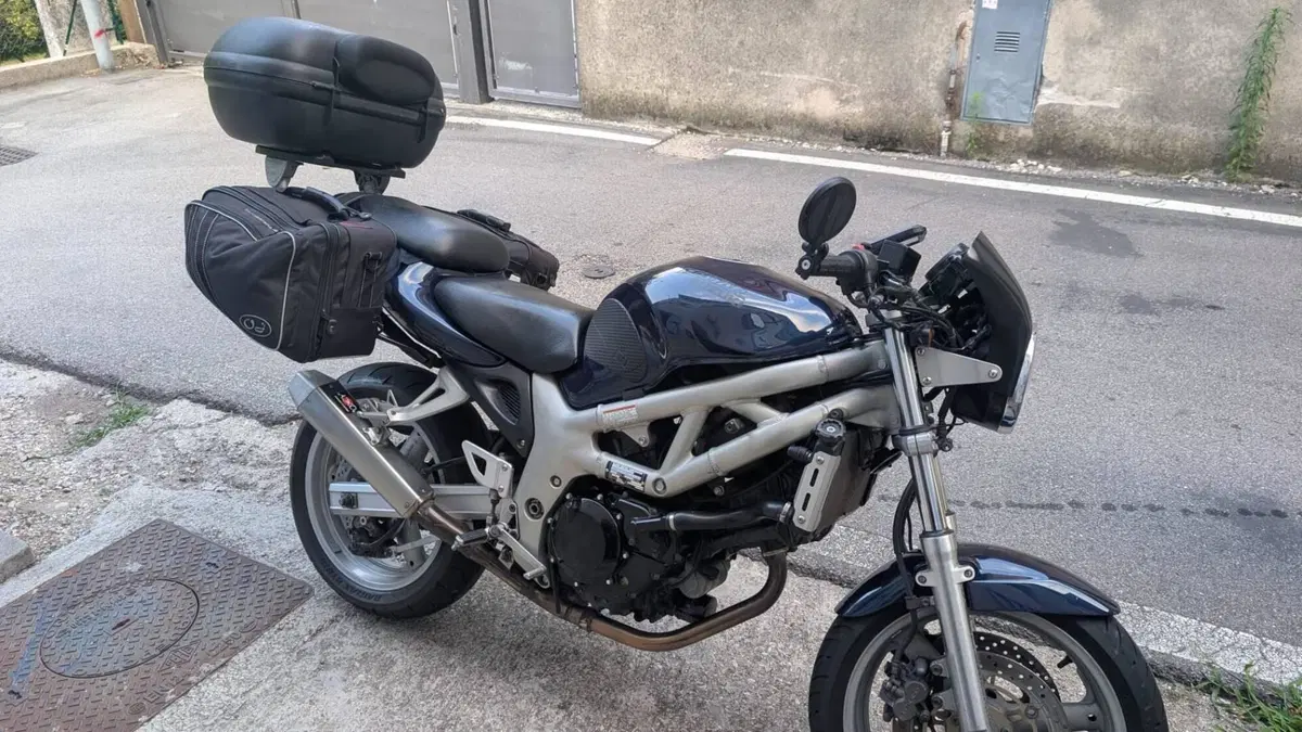 Suzuki SV 650 (1999 - 02) (7)