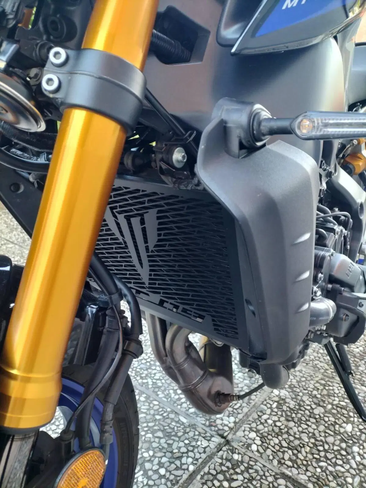 Yamaha MT-09 SP (2021 - 23) (10)