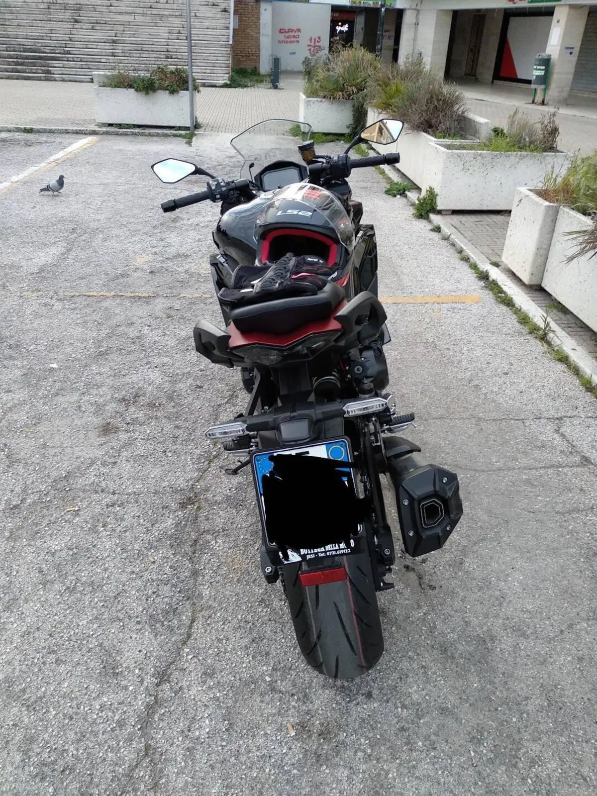 Kawasaki Ninja 1000 SX Tourer (2021 - 24) (3)