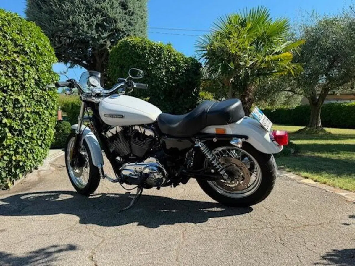 Harley-Davidson 1200 Low (2006 - 07) - XL 1200L (3)