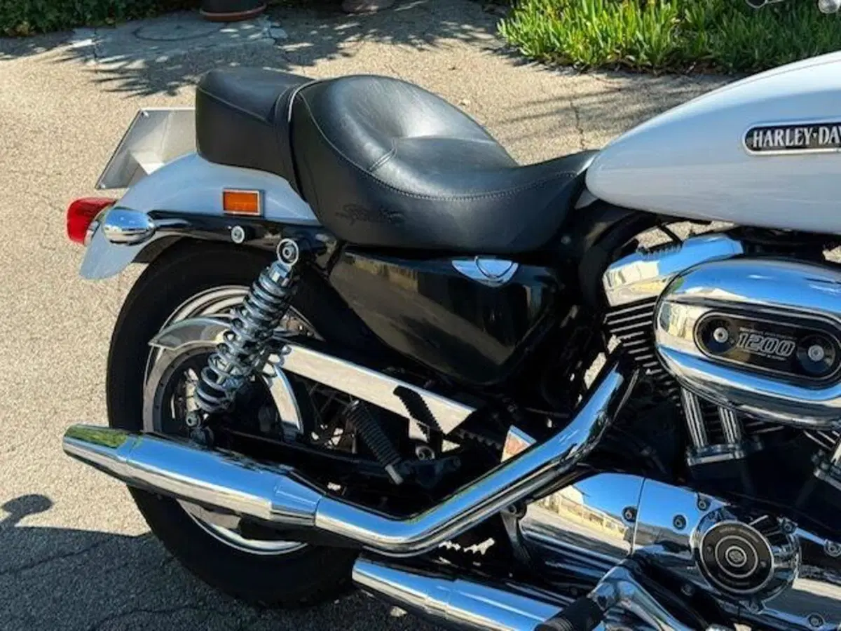 Harley-Davidson 1200 Low (2006 - 07) - XL 1200L (5)
