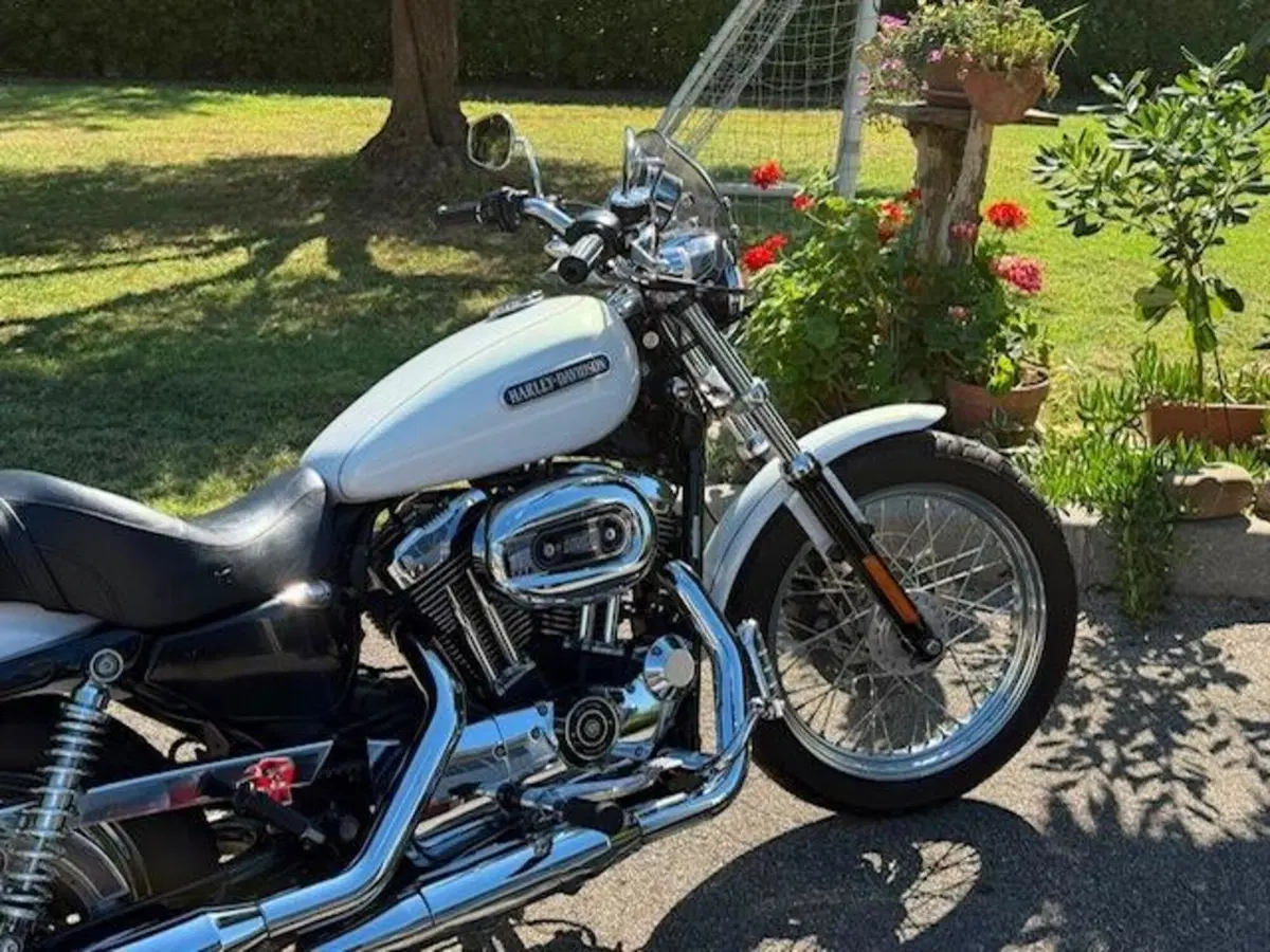Harley-Davidson 1200 Low (2006 - 07) - XL 1200L (6)
