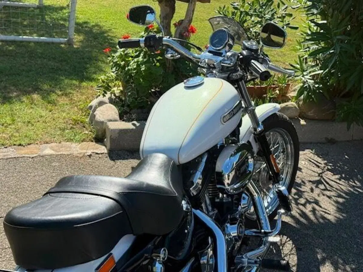 Harley-Davidson 1200 Low (2006 - 07) - XL 1200L (7)
