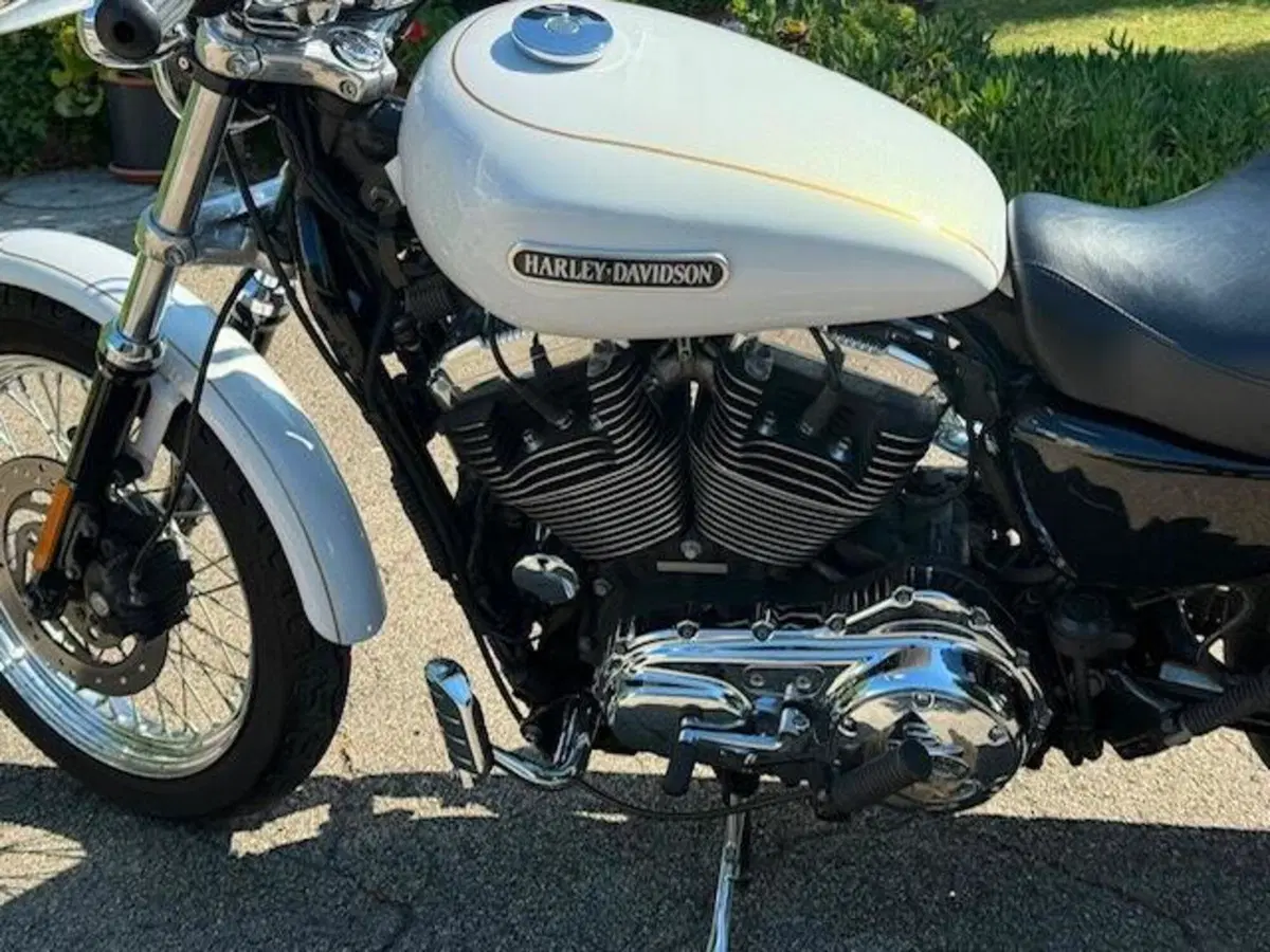 Harley-Davidson 1200 Low (2006 - 07) - XL 1200L (8)