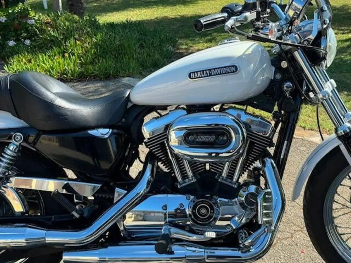 Harley-Davidson 1200 Low (2006 - 07) - XL 1200L (9)
