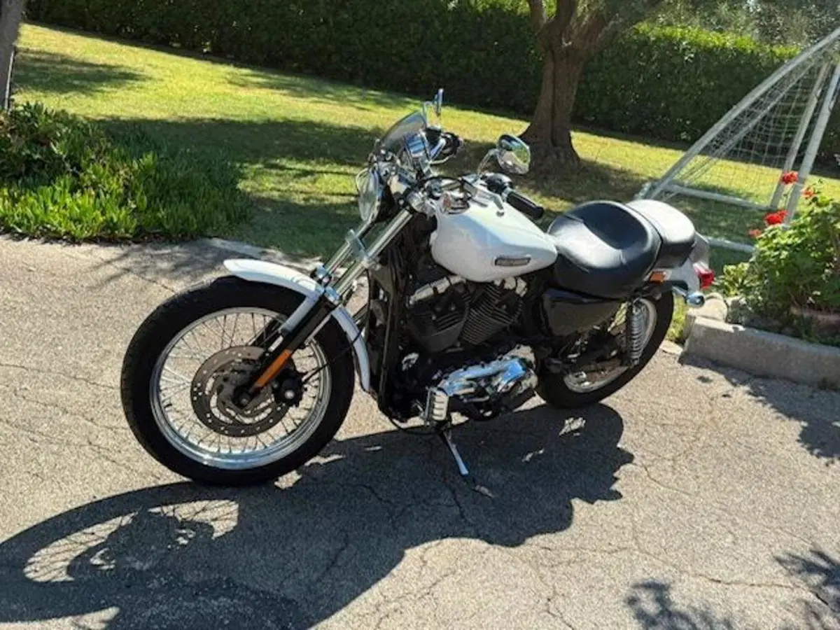 Harley-Davidson 1200 Low (2006 - 07) - XL 1200L (10)