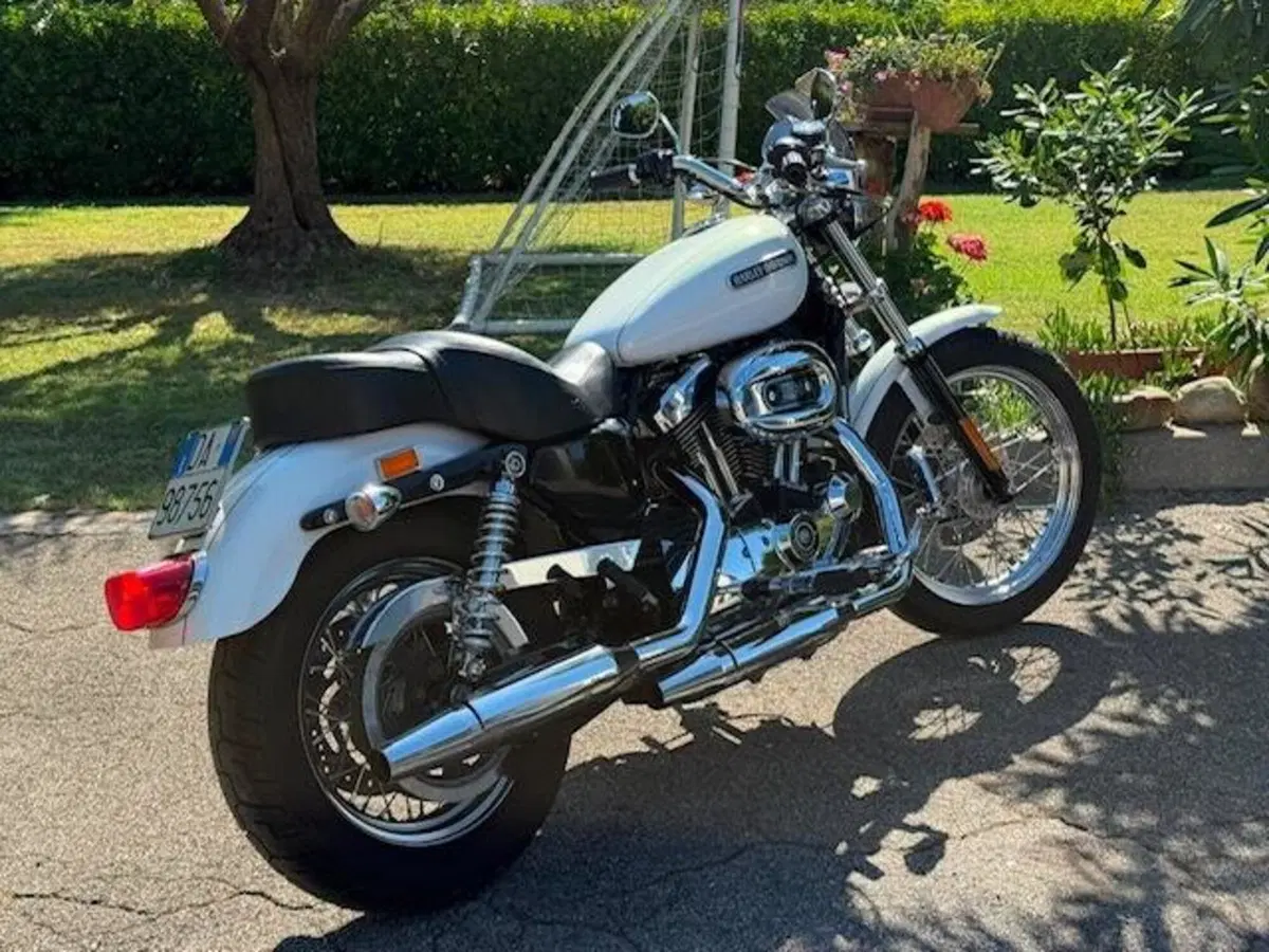 Harley-Davidson 1200 Low (2006 - 07) - XL 1200L (11)