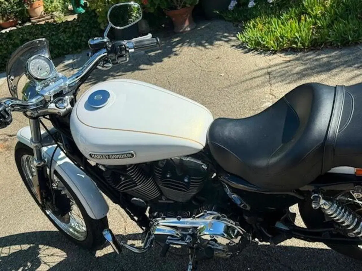 Harley-Davidson 1200 Low (2006 - 07) - XL 1200L (13)