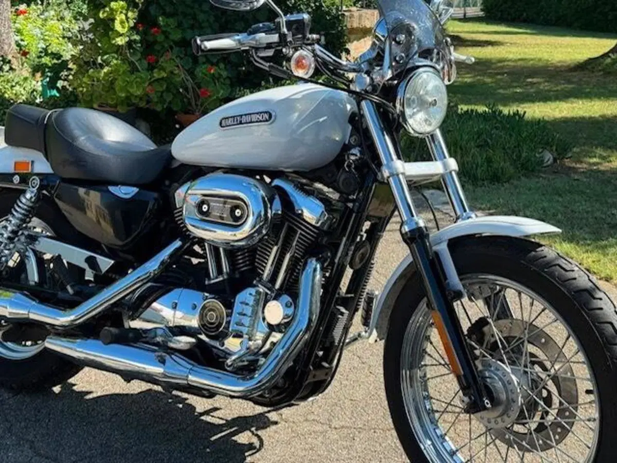 Harley-Davidson 1200 Low (2006 - 07) - XL 1200L (14)