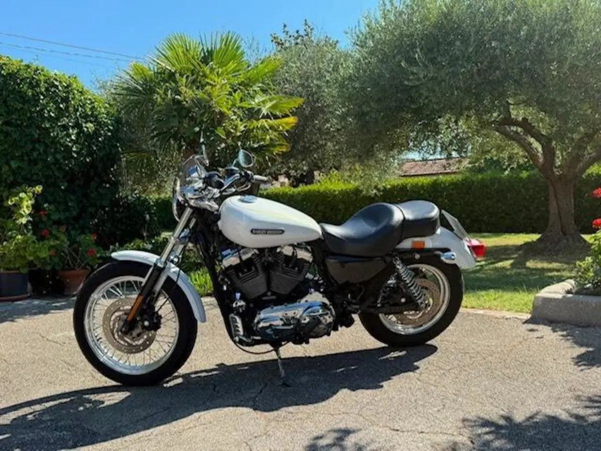 Harley-Davidson 1200 Low (2006 - 07) - XL 1200L (15)