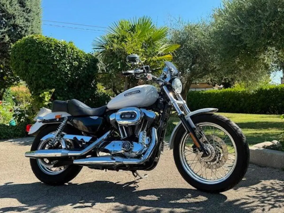 Harley-Davidson 1200 Low (2006 - 07) - XL 1200L (16)