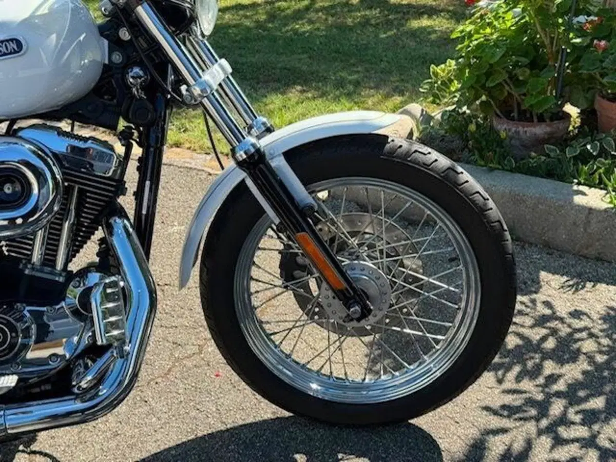 Harley-Davidson 1200 Low (2006 - 07) - XL 1200L (17)