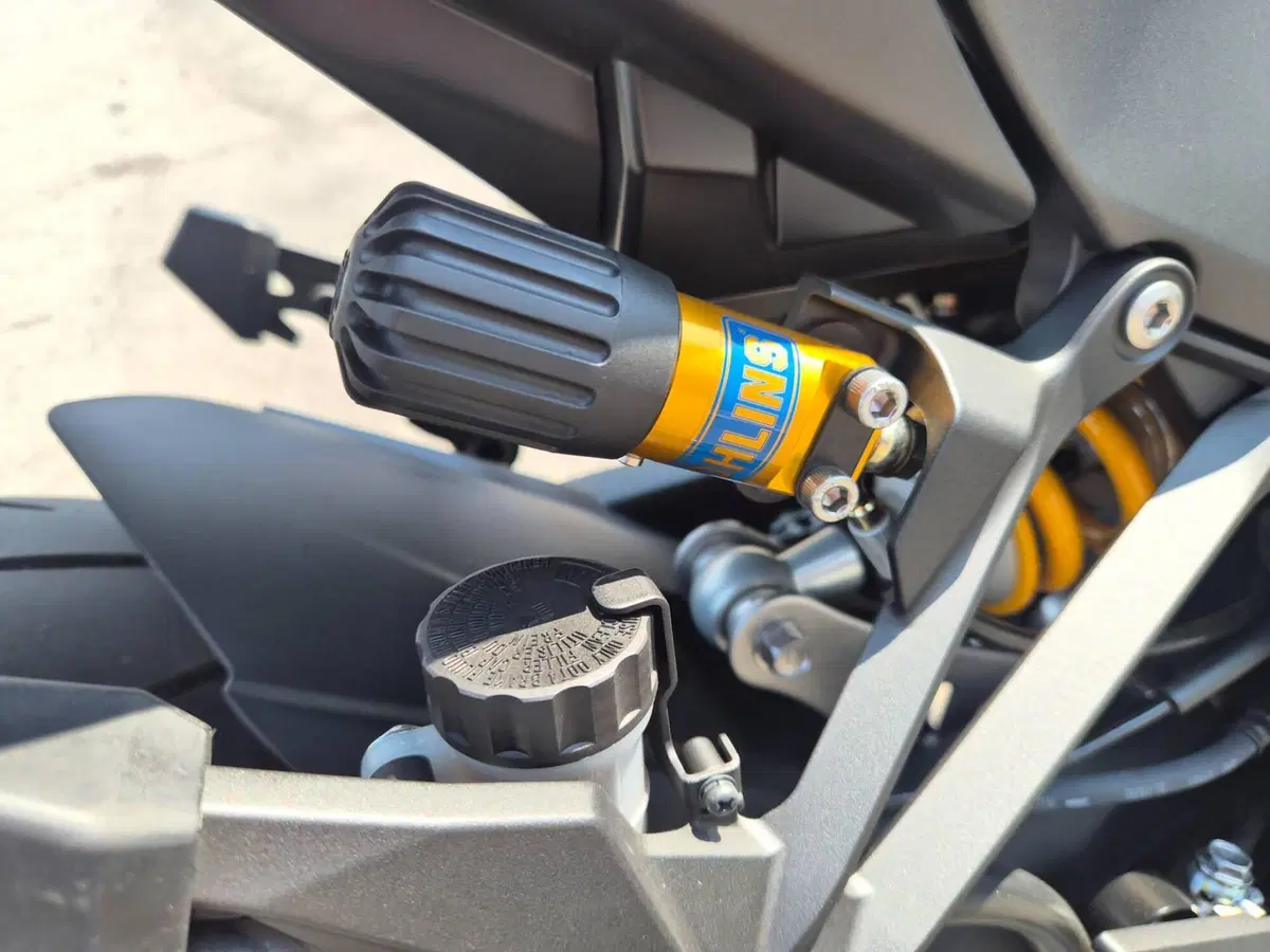 Kawasaki Ninja 1100 SX SE Tourer (2025 - 26) (8)