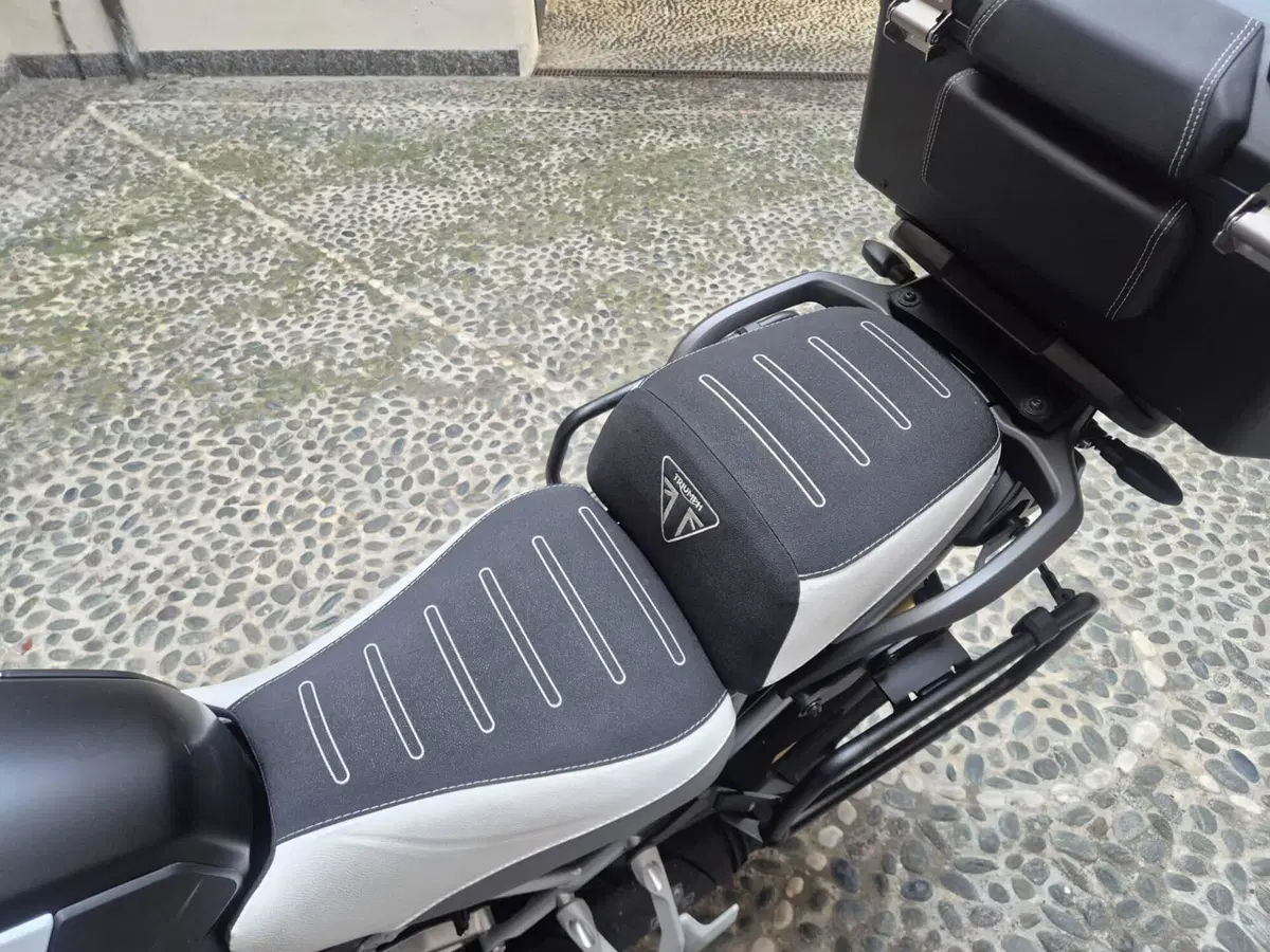 Triumph Tiger 1200 Rally Explorer (2024 - 26) (6)