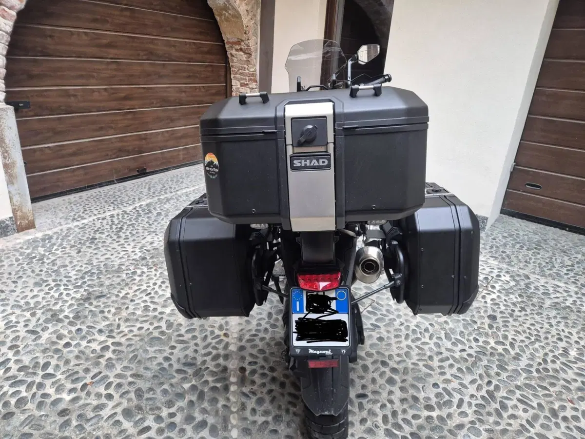 Triumph Tiger 1200 Rally Explorer (2024 - 26) (7)