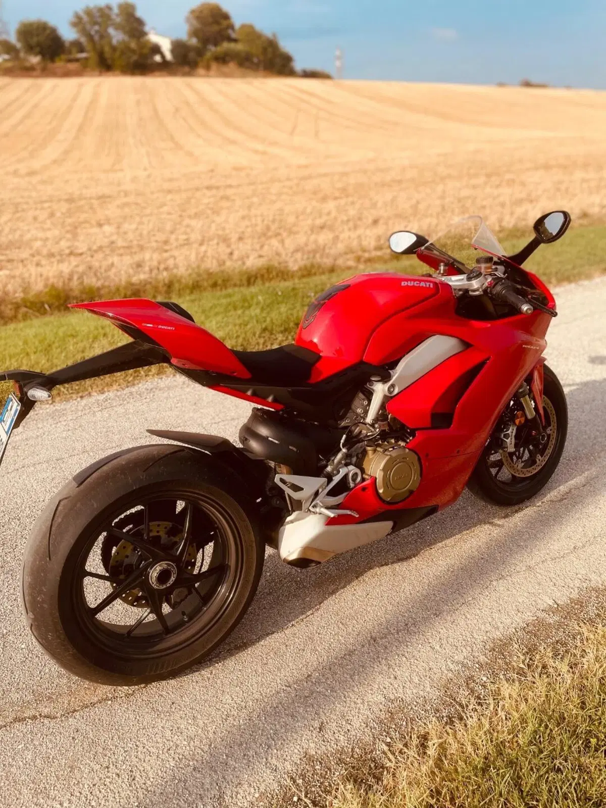 Ducati Panigale V4 1100 (2018 - 19) (3)