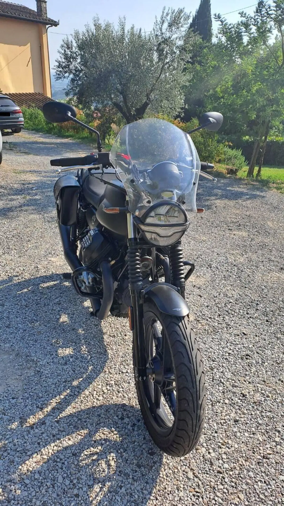 Moto Guzzi V7 Stone (2021 - 24) (6)