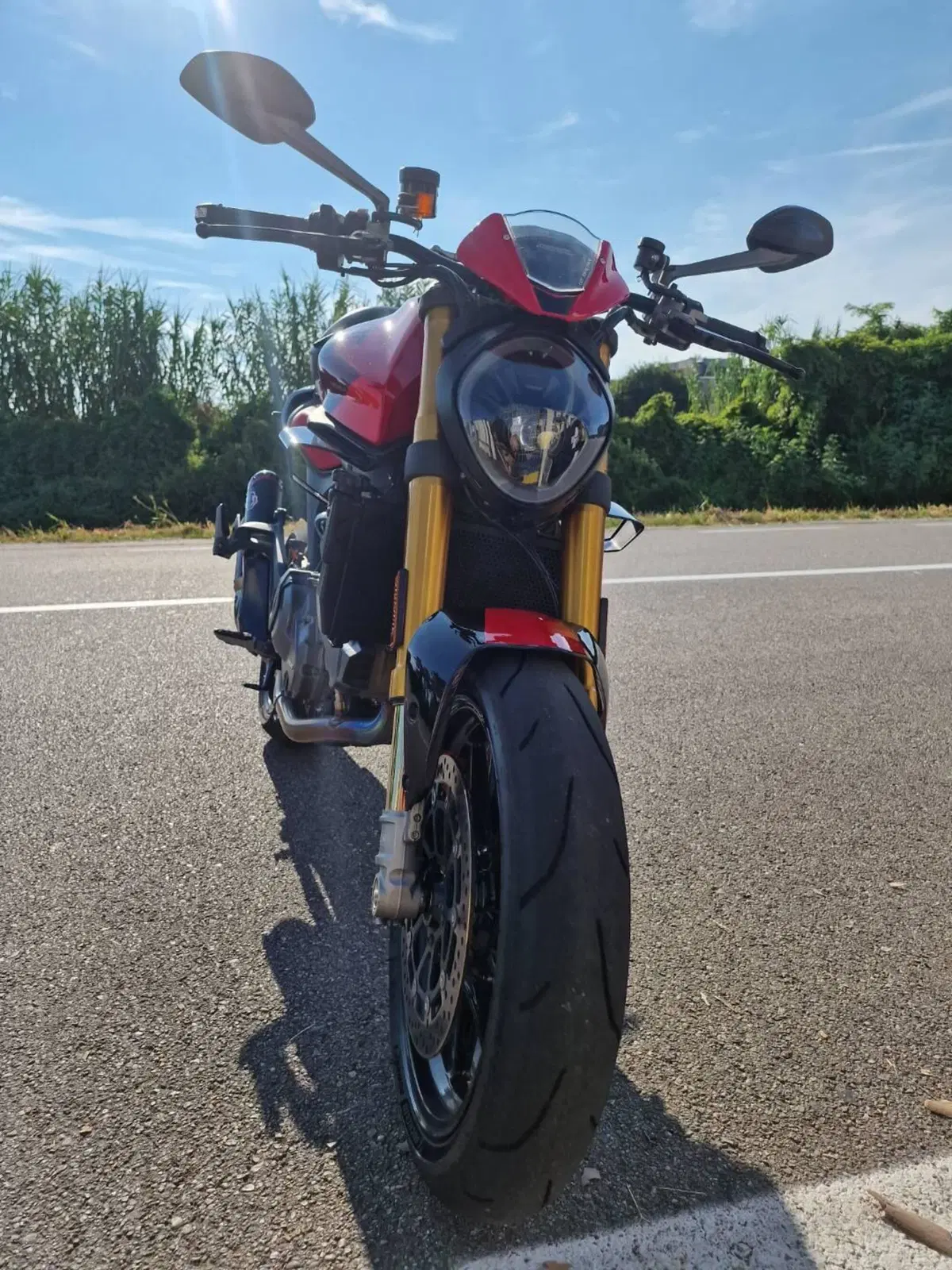 Ducati Monster 937 SP (2023 - 25) (3)