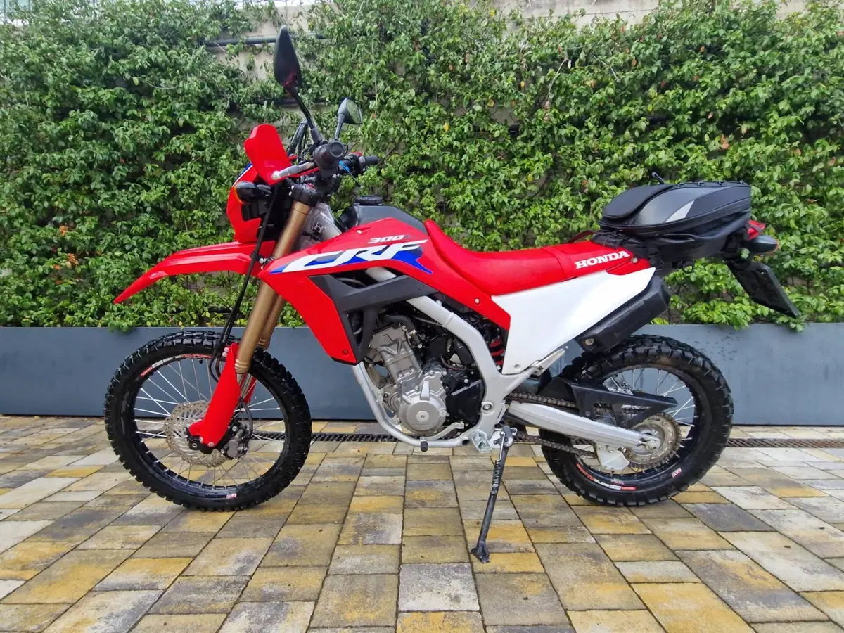 Honda CRF 300L (2021 - 24) (2)