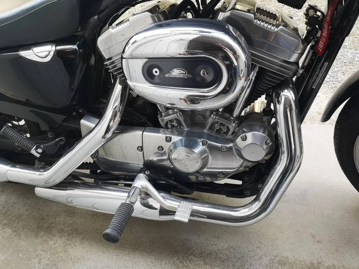 Harley-Davidson 883 Low (2005) - XL 883L (2)