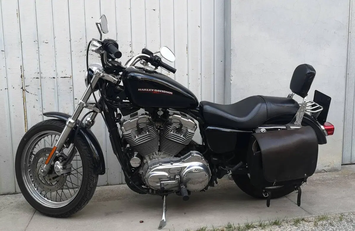 Harley-Davidson 883 Low (2005) - XL 883L