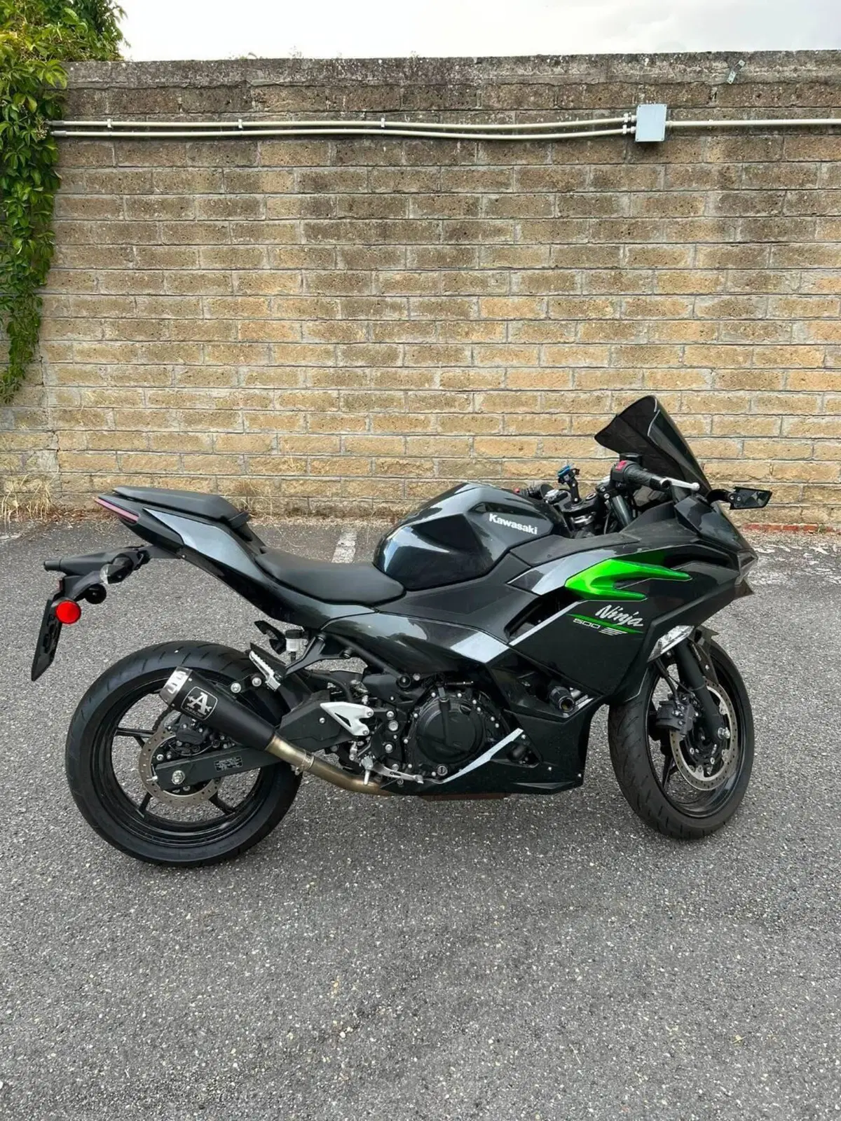 Kawasaki Ninja 500 (2024 - 26)