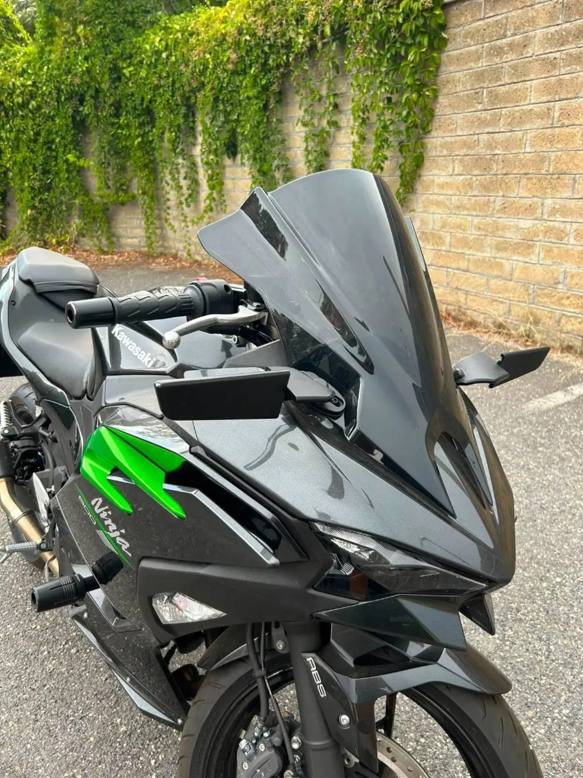 Kawasaki Ninja 500 (2024 - 26) (2)