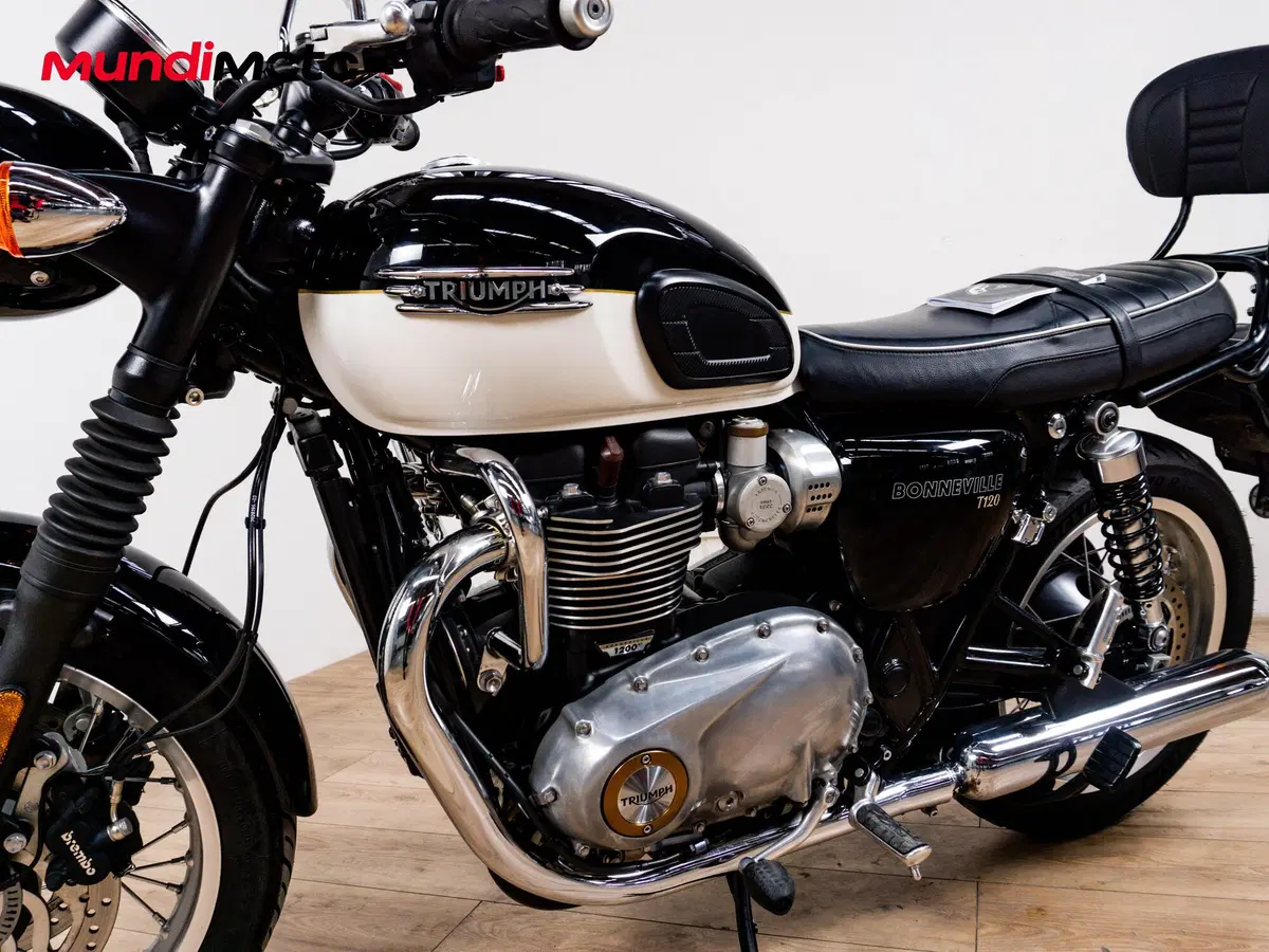 Triumph Bonneville T120 (2026) (9)