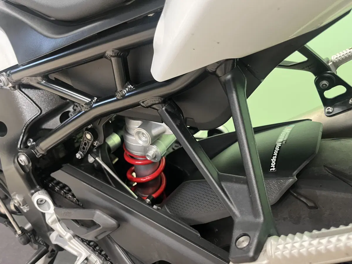 Bmw S 1000 RR (2019 - 20) (7)