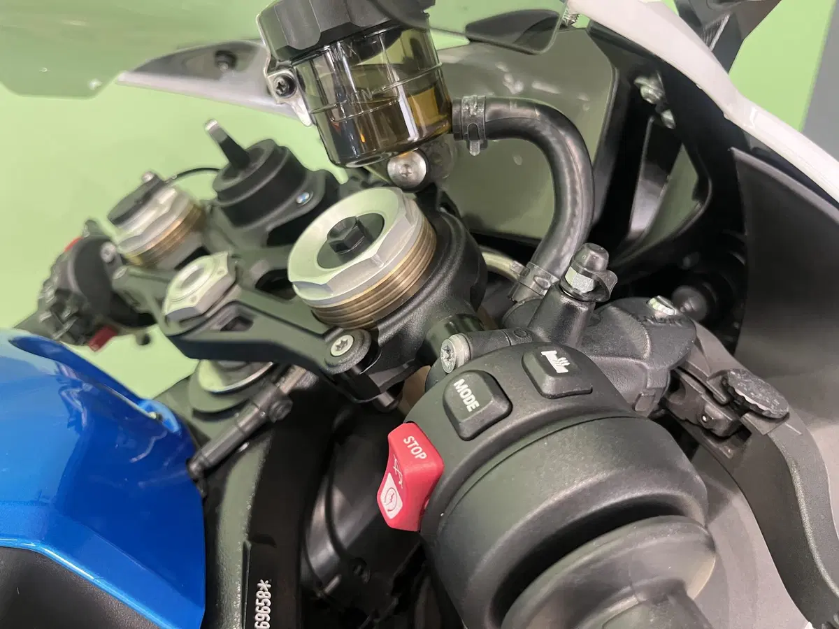 Bmw S 1000 RR (2019 - 20) (15)