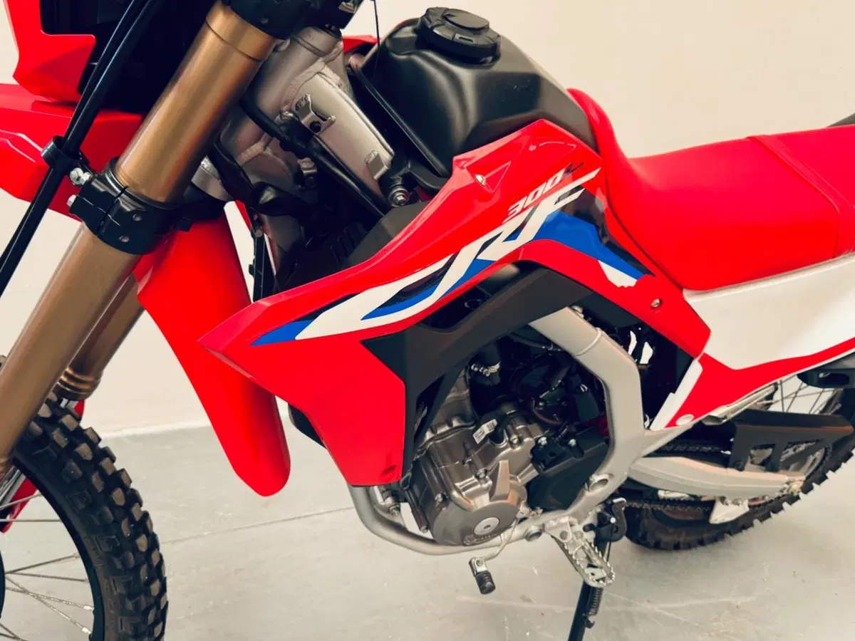 Honda CRF 300L (2025 - 26) (16)