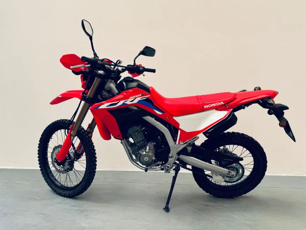 Honda CRF 300L (2025 - 26) (18)