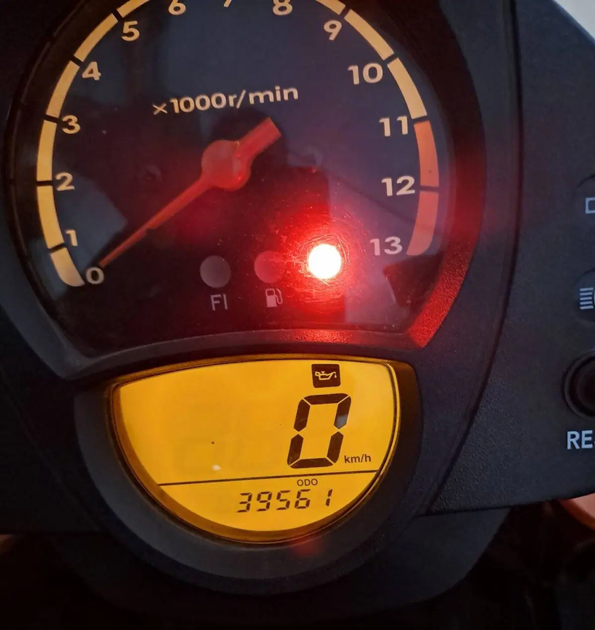 Kawasaki ER-6N (2006 - 09)